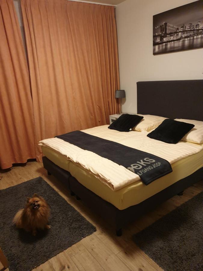 Hotel Eigelstein Κολωνία Εξωτερικό φωτογραφία
